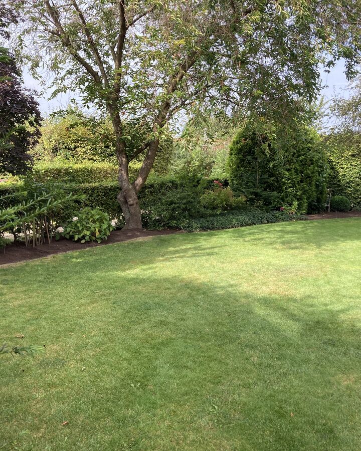 Gepflegte Gartenanlage